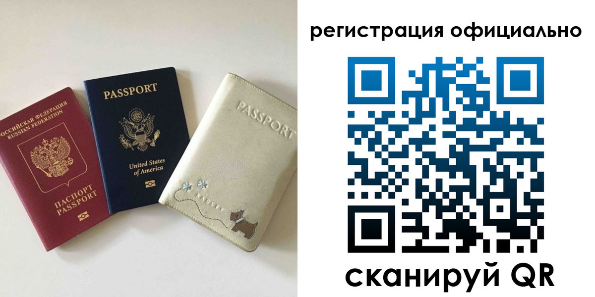 регистрация в Кингисеппе
