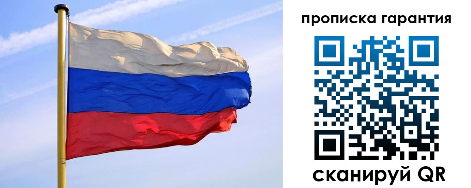 прописка регистрация в Кингисеппе